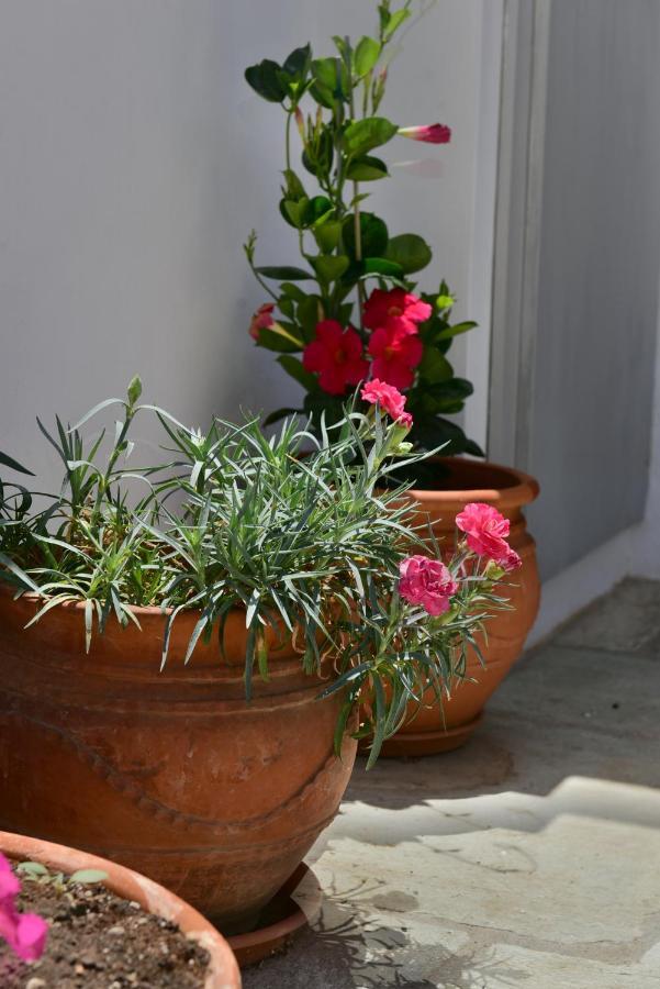 Feel At Home - Family House In Hydra Exterior photo